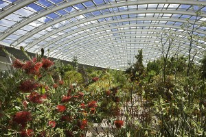 National Botanic Garden of Wales Near Llanarthne