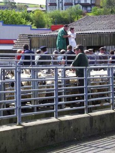 Market day Newcastle Emlyn