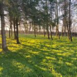 Private Woodland Walk