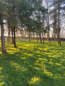 Private Woodland Walk