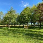 Private Woodland Walk