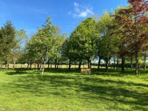 Private Woodland Walk