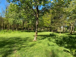Private Woodland Walk