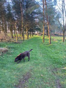 Private Woodland Walk