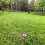 Private Woodland Walk