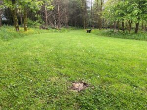 Private Woodland Walk