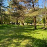 Private Woodland Walk