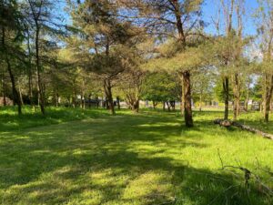 Private Woodland Walk