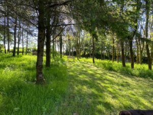 Private Woodland Walk